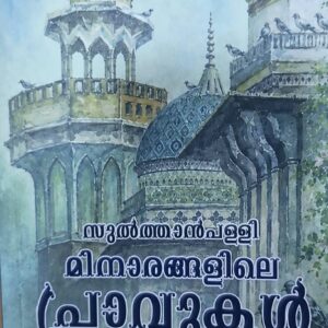Sulthanpalli Minarangalile Pravukal സുൽത്താൻപള്ളി  മിനാരങ്ങളിലെ പ്രാവുകൾ  by Dr Shahida Hydros
